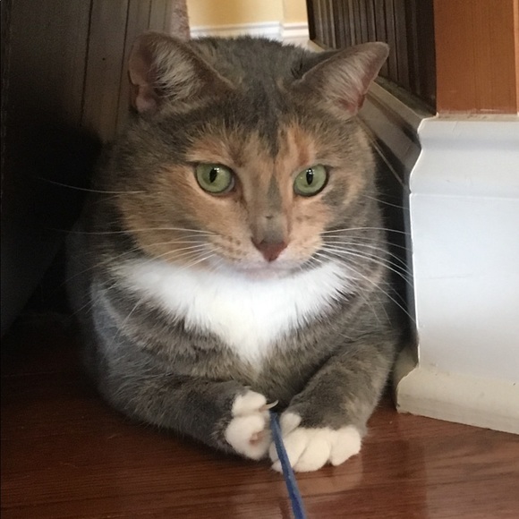 Meet your Posher, Kristi - Picture 1 of 2